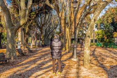 Roma'da şehir parkında kaba yol