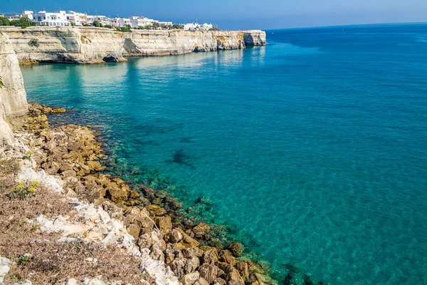 Felsige Bucht Der Küste Des Salento Apulien Italien — Stockfoto