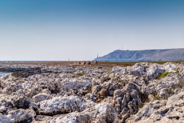 Şövalyeler Adriyatik Sahili: Salento üzerinde