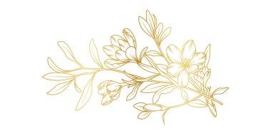 Golden crocus flowers line art isolated on white background. Luxury crocus floral design elements for invitation, wedding, wallpaper, print template, vector illustration.