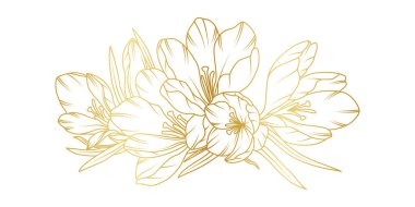 Golden crocus flowers line art isolated on white background. Luxury crocus floral design elements for invitation, wedding, wallpaper, print template, vector illustration.