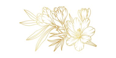 Golden crocus flowers line art isolated on white background. Luxury crocus floral design elements for invitation, wedding, wallpaper, print template, vector illustration.