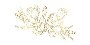 Golden crocus flowers line art isolated on white background. Luxury crocus floral design elements for invitation, wedding, wallpaper, print template, vector illustration.