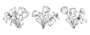 Lily and Tulip flower arrangement line art on white background. Silhouette botanical hand drawn element for wedding, invitation frame design, vector illustration.