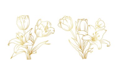 Golden lily and tulip flowers line art isolated on white background. Luxury tulip lily floral design elements for invitation, wedding, wallpaper, print template, vector illustration.