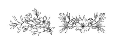 Crocus flower arrangement line art on white background. Silhouette crocus botanical hand drawn element for wedding, invitation frame design, vector illustration.