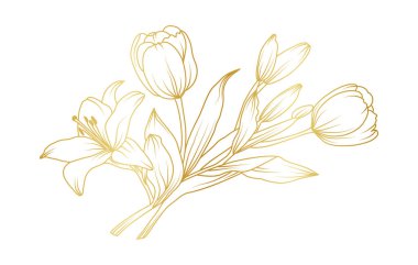 Golden lily and tulip flowers line art isolated on white background. Luxury tulip lily floral design elements for invitation, wedding, wallpaper, print template, vector illustration.