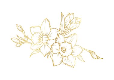 Narcissus zambak çiçekleri beyaz arka planda izole edilmiş. Davetiye, düğün, duvar kağıdı, baskı şablonu, vektör illüstrasyonu için lüks nergis çiçekli altın tasarım unsurları.