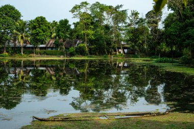 Assam, Hindistan 'daki Majuli Adası' nda evlerle çevrili küçük bir gölet manzarası..
