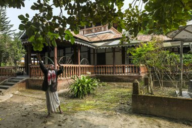 Majuli Adası, Hindistan - Kasım 2020: 20, Assam, Hindistan 'da 20 Kasım 2020 tarihinde Garamur Satra' da bir ağaçtan yaprakları toplayan bir keşiş.