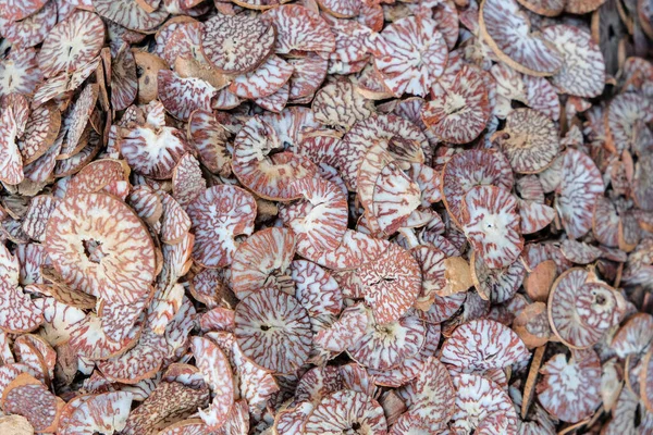 Καρύδι Αρέκα Στην Αγορά Γκουαχάτι Καρύδι Areca Είναι Σπόρος Της — Φωτογραφία Αρχείου