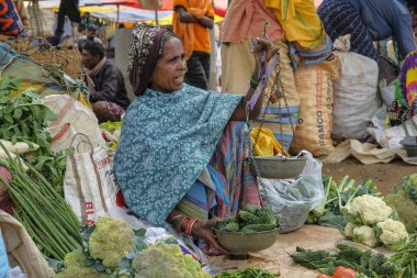 Kunduli, Hindistan - Şubat 2021: Mali kabilesinden Adivasi kadın 19 Şubat 2021 'de Odisha, Hindistan' da Kunduli pazarında sebze satıyor..