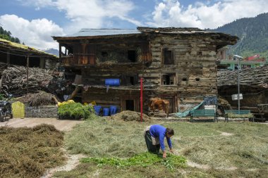 Manali, Hindistan - Haziran 2021: Manali Mahallesi 'nde geleneksel evler 25 Haziran 2021' de Manali, Himachal Pradesh, Hindistan.