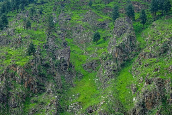 Himalaya Montagnes Paysage Dans Vallée Parvati Himachal Pradesh Inde — Photo