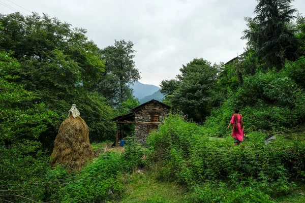 インド ナガー2021年6月 インド ヒマカル プラデーシュ州ナガーにおける2021年6月24日のクルル県ナガー村の風景 — ストック写真