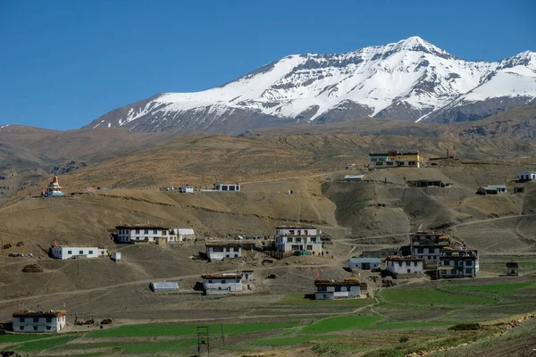 Panoramiczny Widok Wioski Langza Dolinie Spiti Himalajach Himachal Pradesh Indie — Zdjęcie stockowe