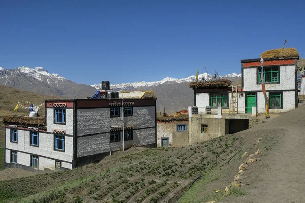 Langza Hindistan Haziran 2021 Himalayalar Spiti Vadisi Ndeki Langza Köyünün — Stok fotoğraf