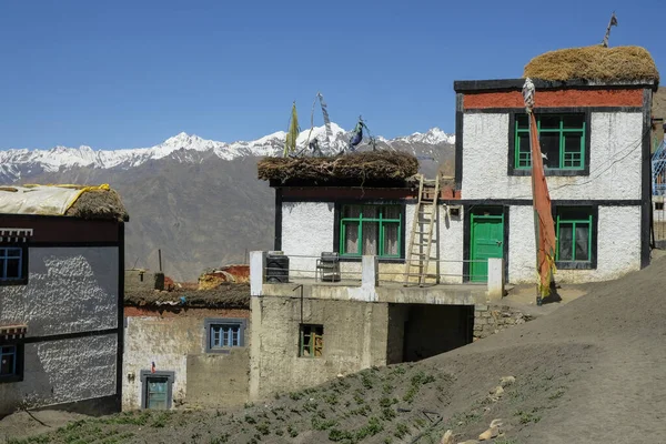 印度兰扎 2021年6月 2021年6月29日印度喜马偕尔邦喜马拉雅山脉斯皮蒂山谷兰扎村的景观 — 图库照片