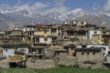 Nako, Hindistan - Temmuz 2021: 3 Temmuz 2021 'de Hindistan' ın Himachal Pradesh kentinde Nako köyünün manzarası.