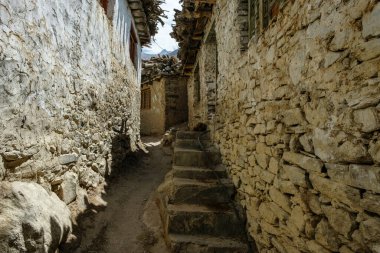 Hindistan 'ın Himachal Pradesh kentindeki Nako köyünün manzarası.