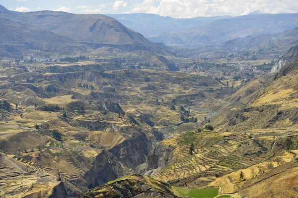 Paisaje, Cañón del Colca, Perú — Foto de Stock