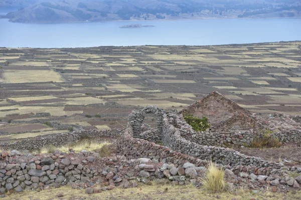 Ön Amantani ön, Titicacasjön, peru — Stockfoto
