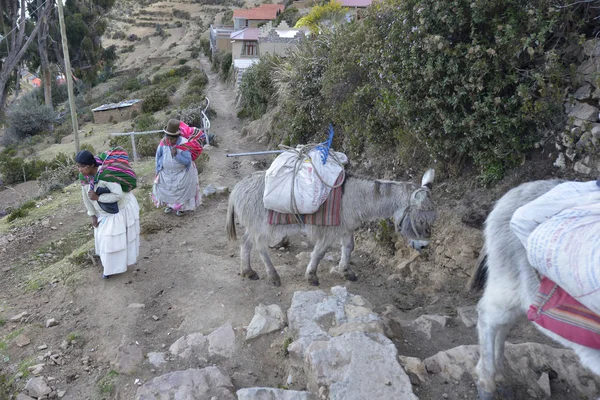 Isla del Sol, Titicaca Gölü, Bolivya — Stok fotoğraf