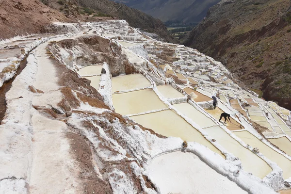 Maraş kutsal Valley, Cuzco, Peru — Stok fotoğraf