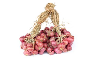 Shallotlar otçul bitkilerdir. Yemek pişirmek için kullanılan bir tarım ürünüdür. Asya 'da ve tüm dünyada çok popülerdir.. 