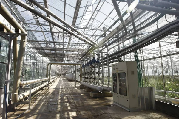 Greenhouse Pipes Glass Walls Ceiling — Stock Photo, Image