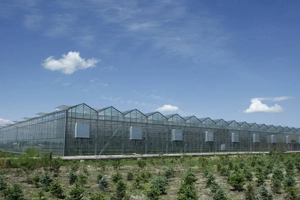 Greenhouse Middle Steppe — Stock Photo, Image