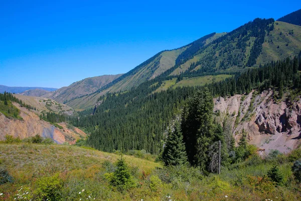 Schöne Berglandschaft Der Kasachischen Region Almaty Der Alatau Schlucht — Stockfoto