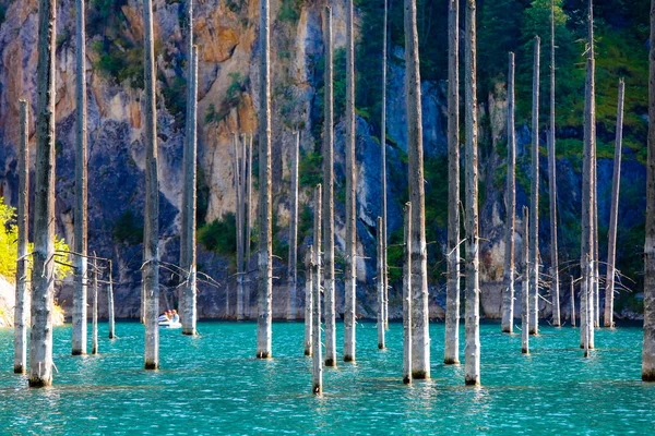 Курорт Кайнды Алматинской Области Горными Озерами Соснами Воде — стоковое фото