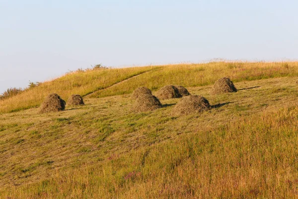 Haystacks Фоне Золотого Поля — стоковое фото