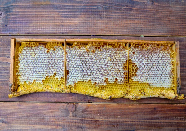 Quadro Favo Mel Ramo Vidoeiro Com Ramo Lavenderon Fundo Madeira — Fotografia de Stock