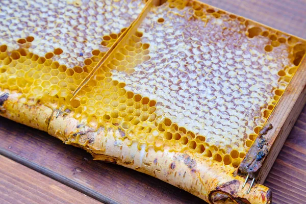 Honeycomb Ram Björk Gren Med Kvist Lavendel Trä Bakgrund — Stockfoto