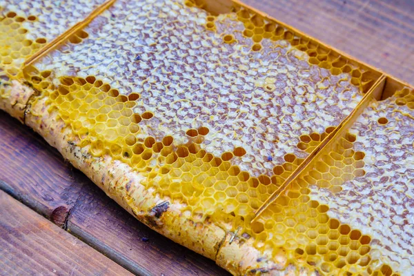 Honingraat Frame Een Berk Tak Met Een Takje Lavendel Een — Stockfoto