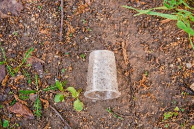 Yerdeki tek kullanımlık plastik bardaklar, çevre kirliliği...