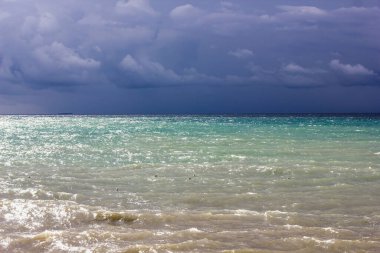 Dalgaların üzerinde martılarla fırtınalı bir fırtınadan önce kara bulutlu bir gökyüzünün arka planına karşı.