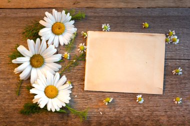 Büyük ve küçük papatyaları olan ahşap bir zemin üzerindeki el işi kağıt metni için arkaplan