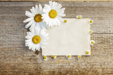 Büyük ve küçük papatyaları olan ahşap bir zemin üzerindeki el işi kağıt metni için arkaplan