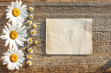 Büyük ve küçük papatyaları olan ahşap bir zemin üzerindeki el işi kağıt metni için arkaplan