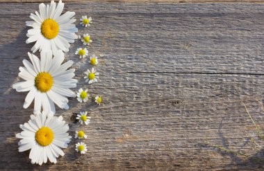 Büyük ve küçük papatyaları olan ahşap bir zemin üzerindeki el işi kağıt metni için arkaplan