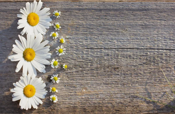 Büyük ve küçük papatyaları olan ahşap bir zemin üzerindeki el işi kağıt metni için arkaplan