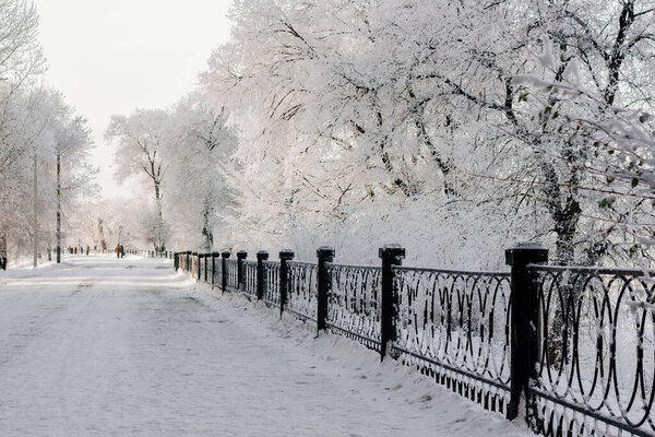 Winter embankment, snow-covered path, trees in hoarfrost, winter snowy white landscape on a sunny day