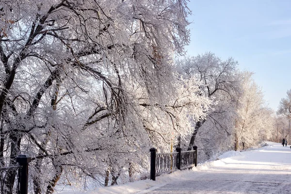 stock image winter embankment, snow-covered path, trees in hoarfrost, winter snowy white landscape on a sunny day