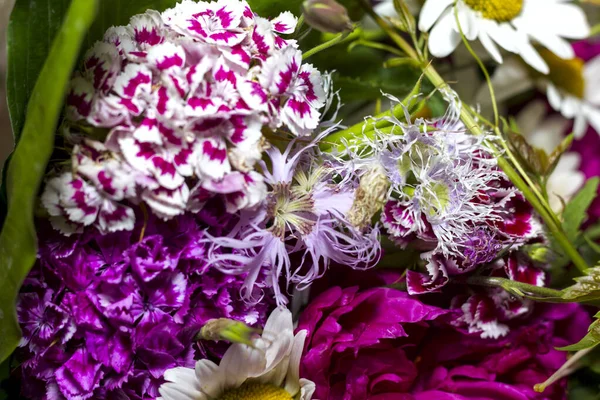 Grand Bouquet Multicolore Lumineux Fleurs Sauvages Avec Pivoines Aquilegia Grandes — Photo