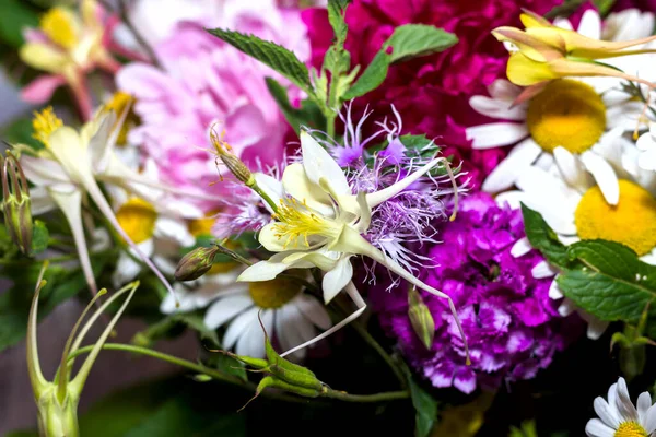 Ramo Grande Brillante Multicolor Flores Silvestres Con Peonías Aquilegia Grandes — Foto de Stock