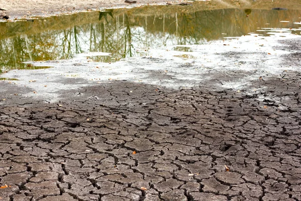 Засуха Сухая Трещина Почвы Сухой Берег Озера Крупным Планом — стоковое фото