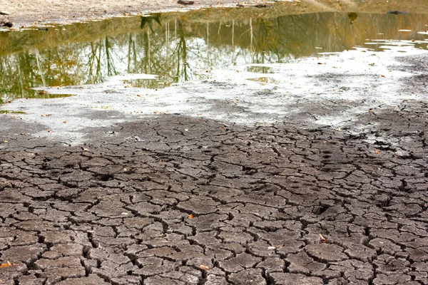 Droogte Droge Gebarsten Grond Droge Oever Van Het Meer Close — Stockfoto